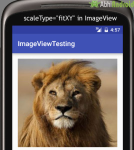 scaleType in ImageView Example