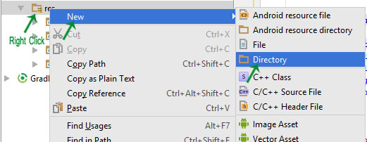 Creating Directory in Res Android Studio